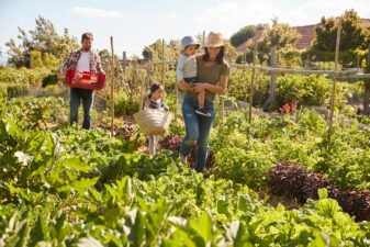 Family working in garden