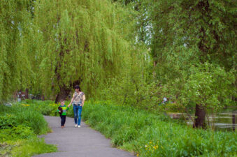 Boy and his mother walking in a green forest preserve