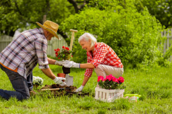 Senior man and woman working in the garden