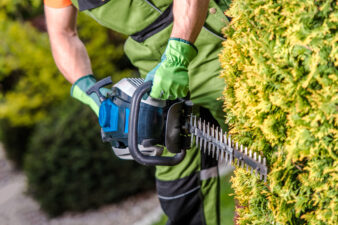 Male hands shaping a bush with a chainsaw