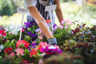 close up view of a woman gardening