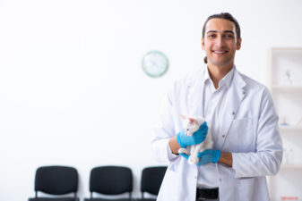 Young male doctor examining sick cat