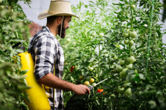 Young farmer protecting his plants