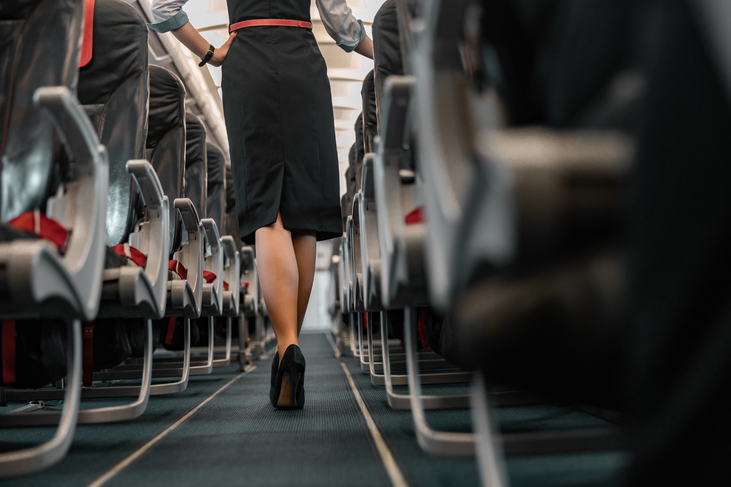 Flight Attendant