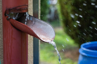 rainwater flowing into barrel