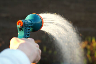 Spraying a hose on the lawn