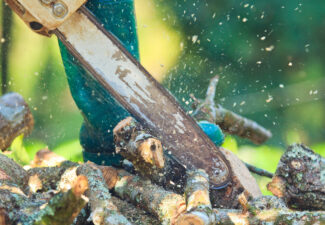 Chainsaw cutting firewood