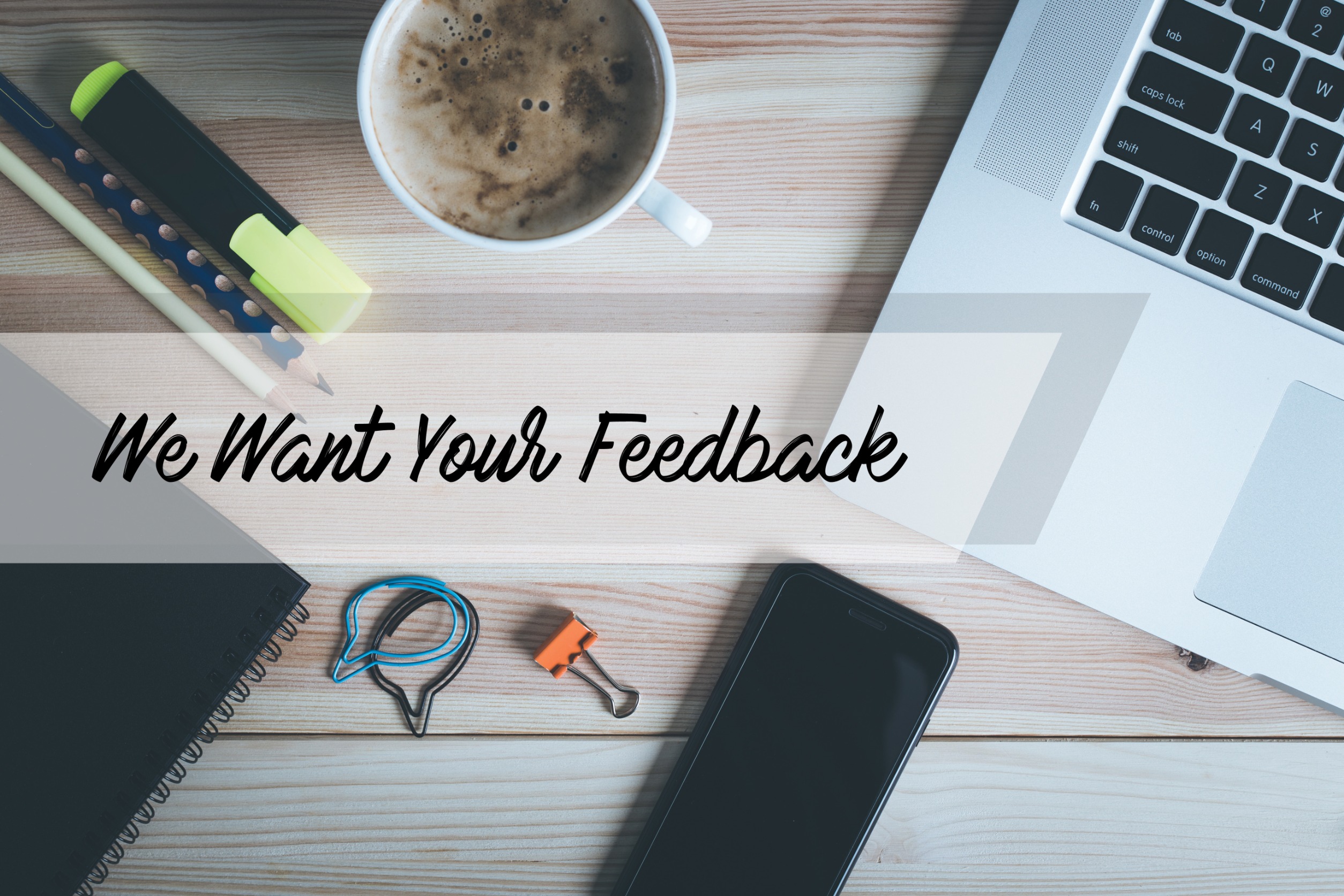 They Seek Feedback and Reflect