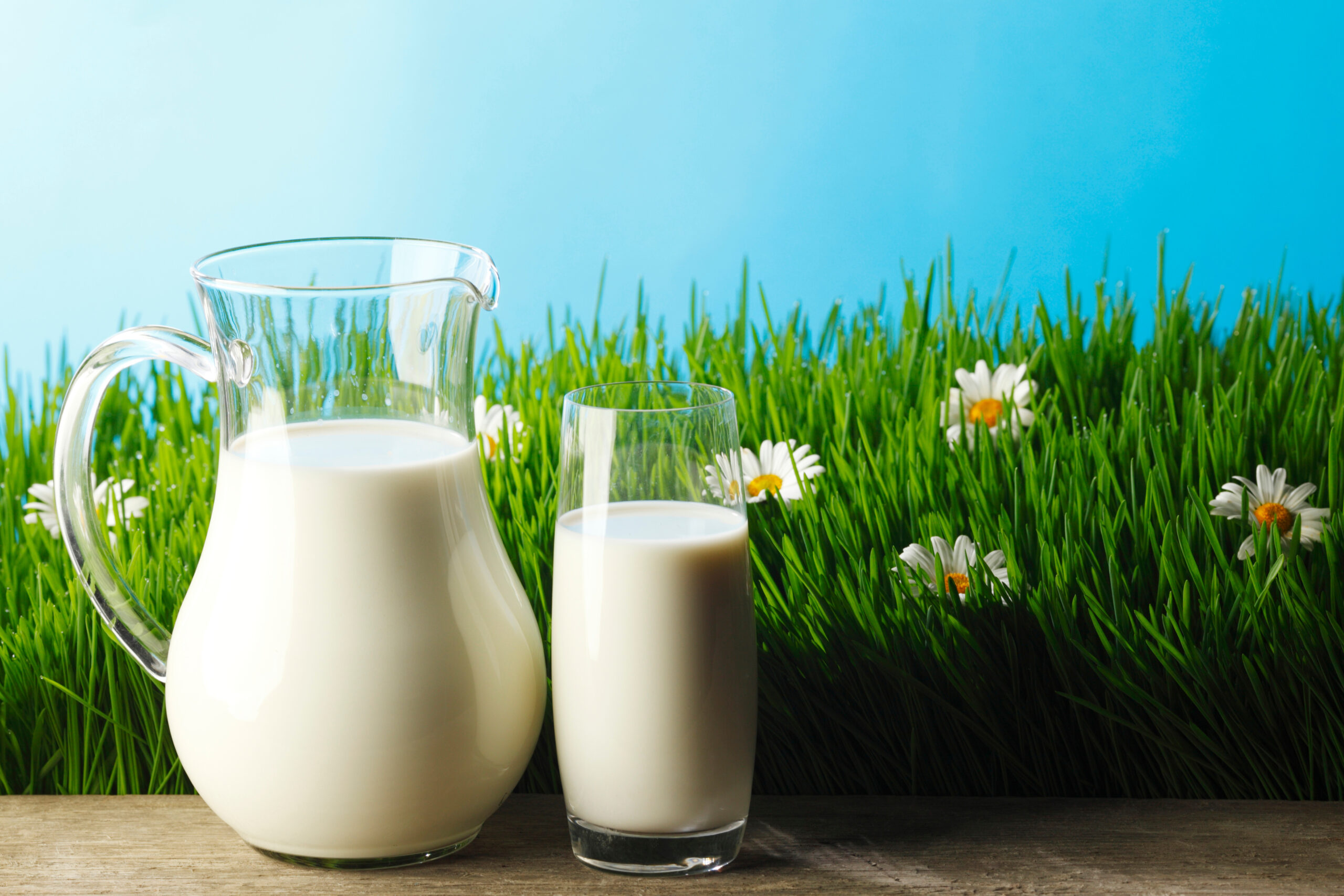 Milk in jar and glass on flower meadow