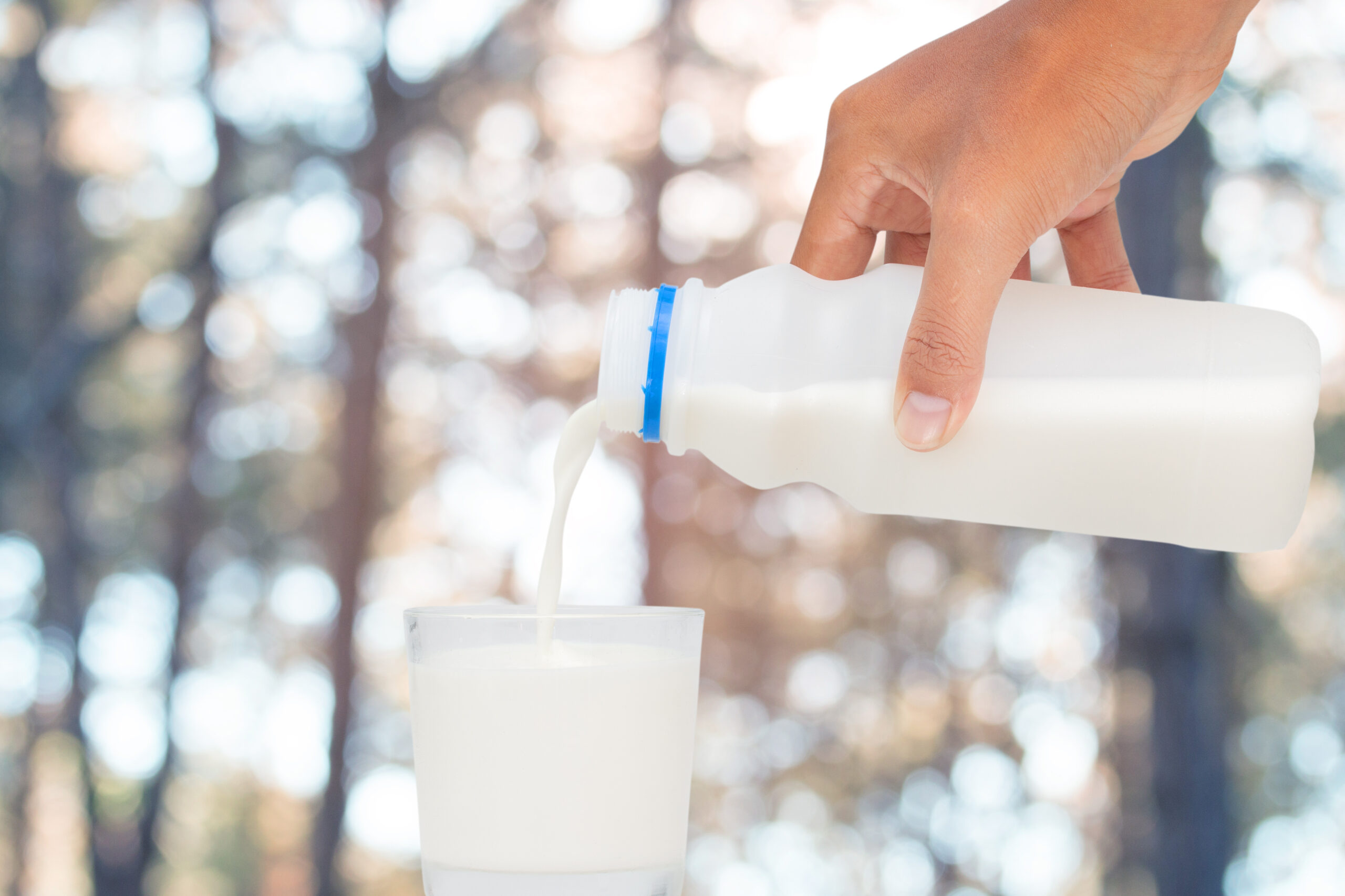 Pouring milk into glass with abstract nature blur background