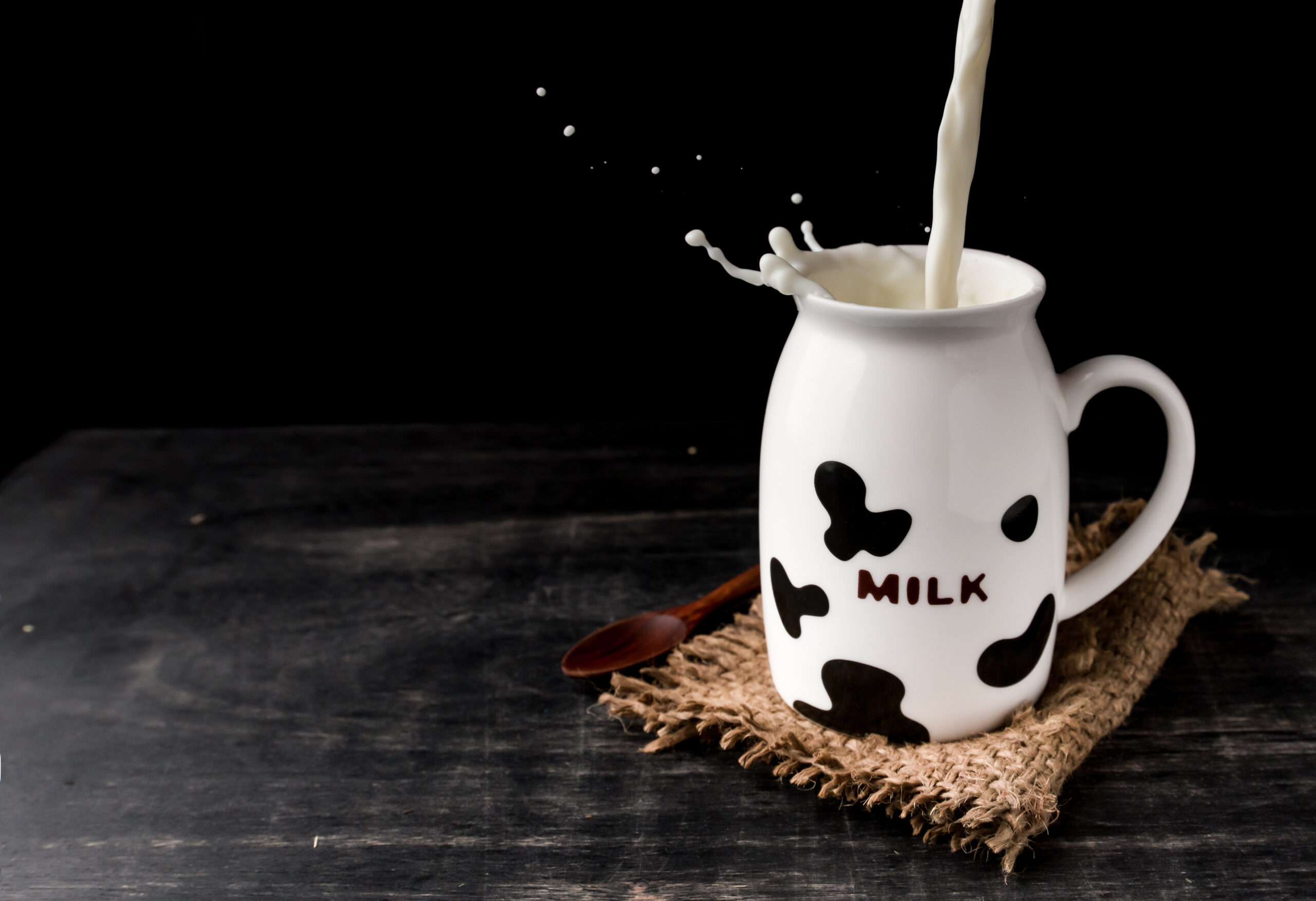 Pouring milk in cow print jug