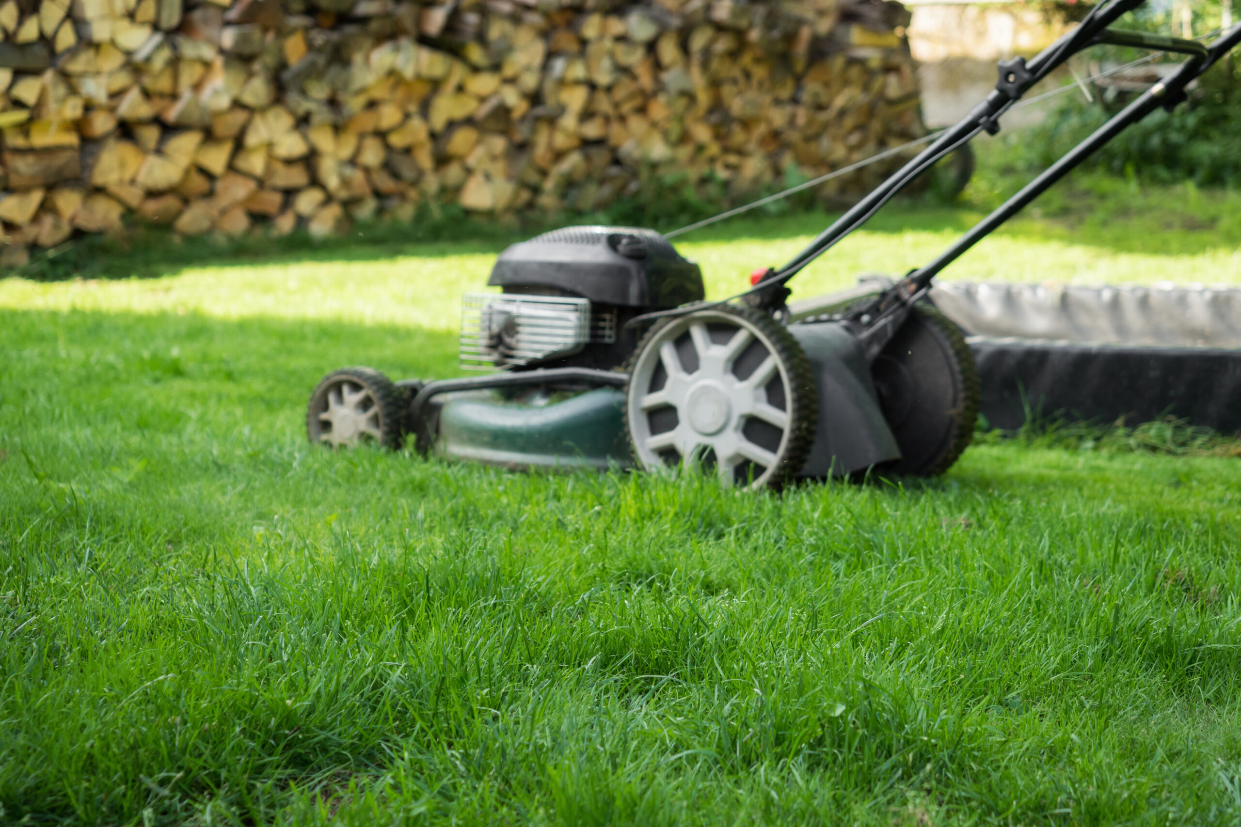 The lawn is mown with the lawn mower