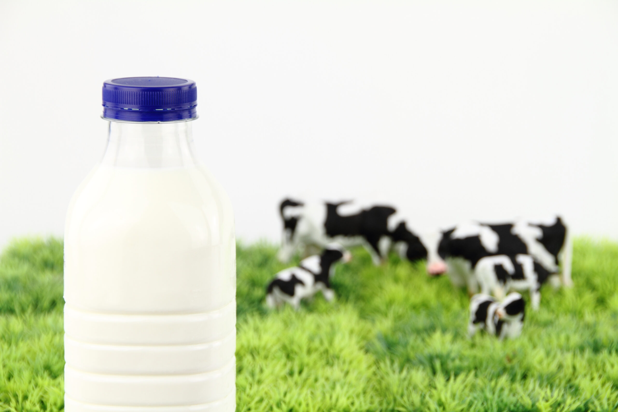 Bottle of milk with a farm on background