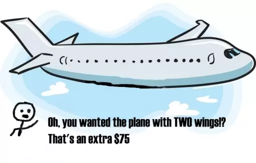 A plane with one wing