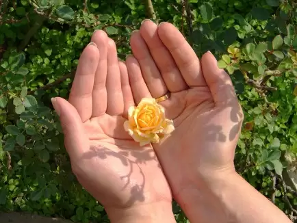 flower in hands