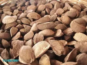 brazil nuts