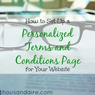 website tips, setting up a website, terms and conditions page set up