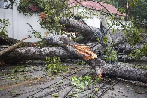 storm damage