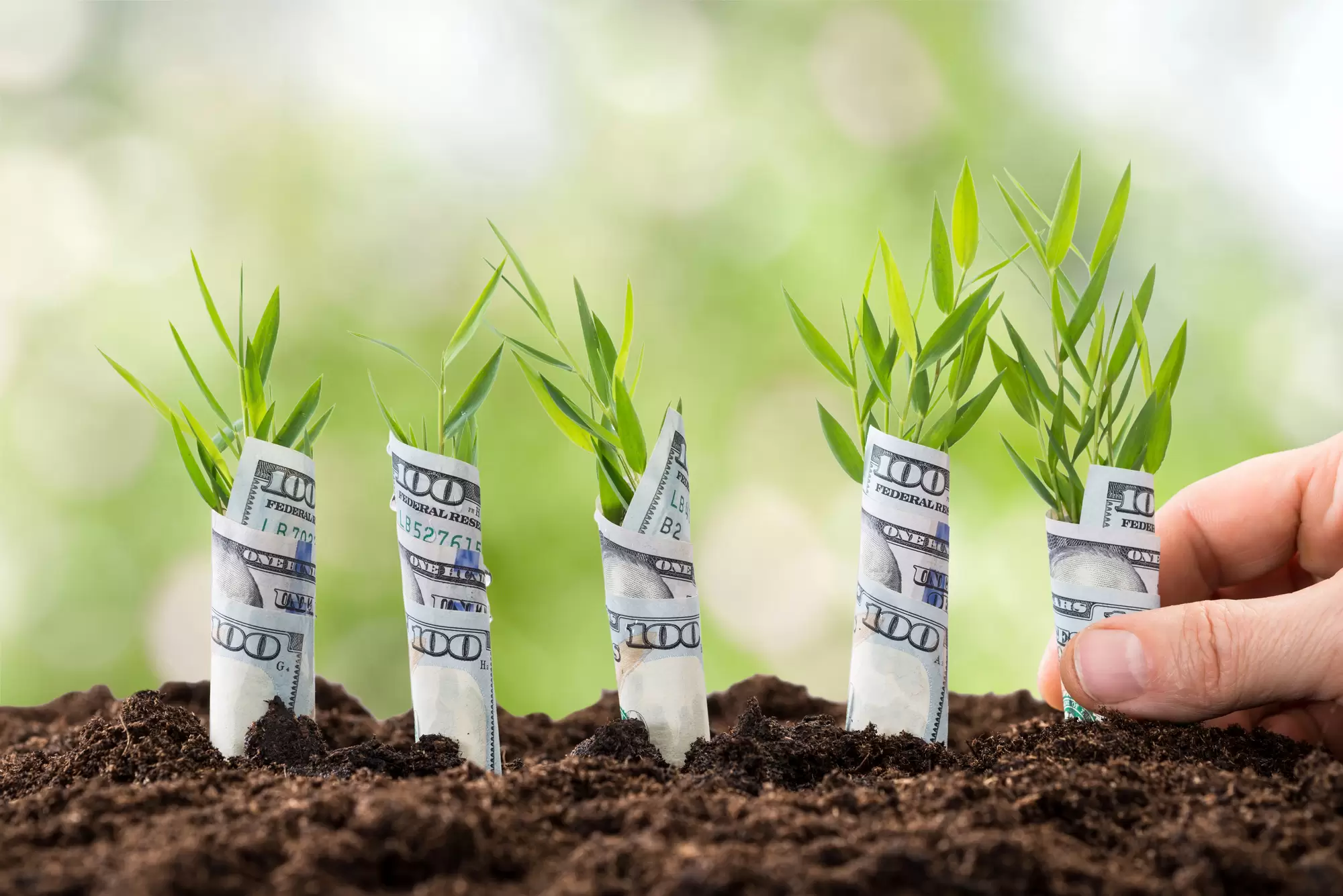 millionaire next door formula for wealth - hand planting 100 dollar bills into the ground