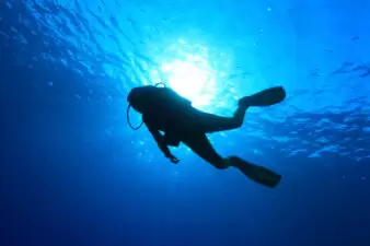 silhouette of person scuba diving