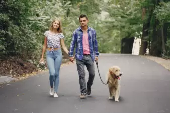 couple walking dog outdoors