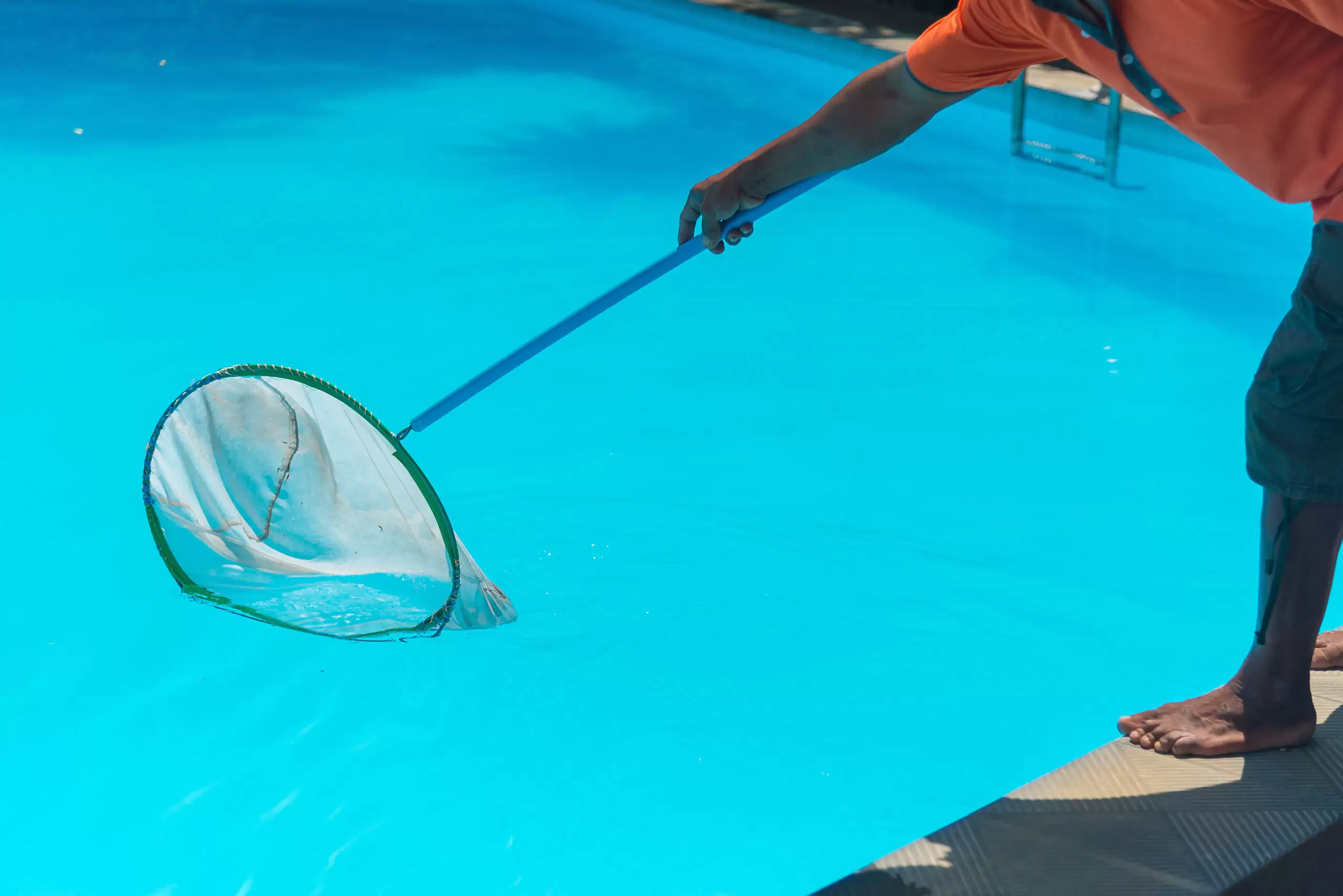 Man cleaning the blue swimming pool from leaves with cleaning