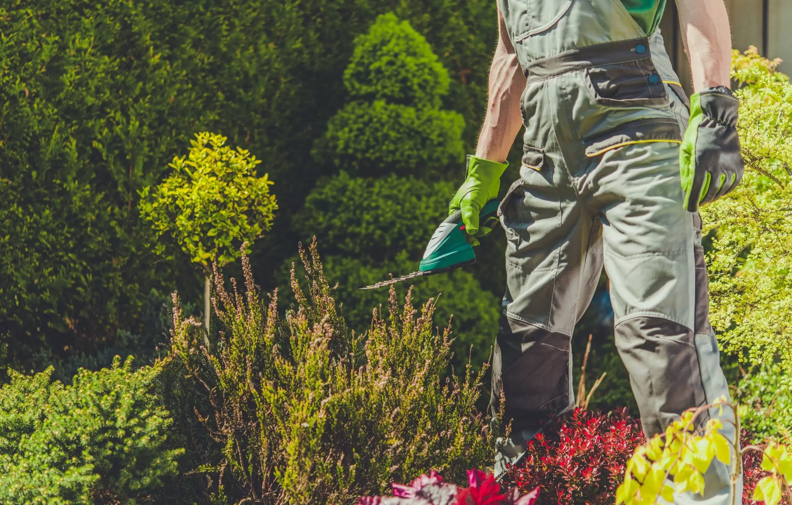 Lawn Care and Landscaping Services