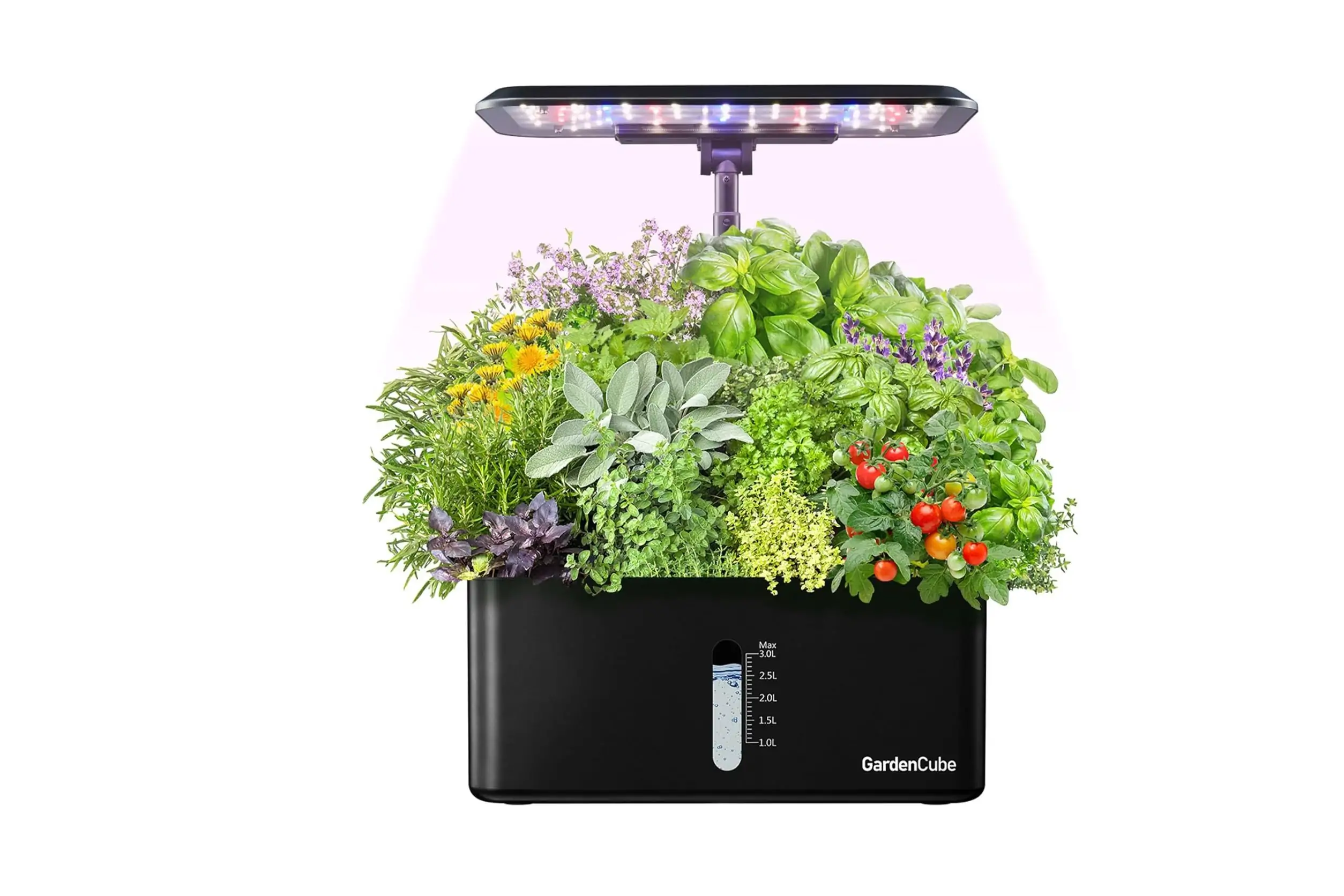 Mini Smart Garden Kit